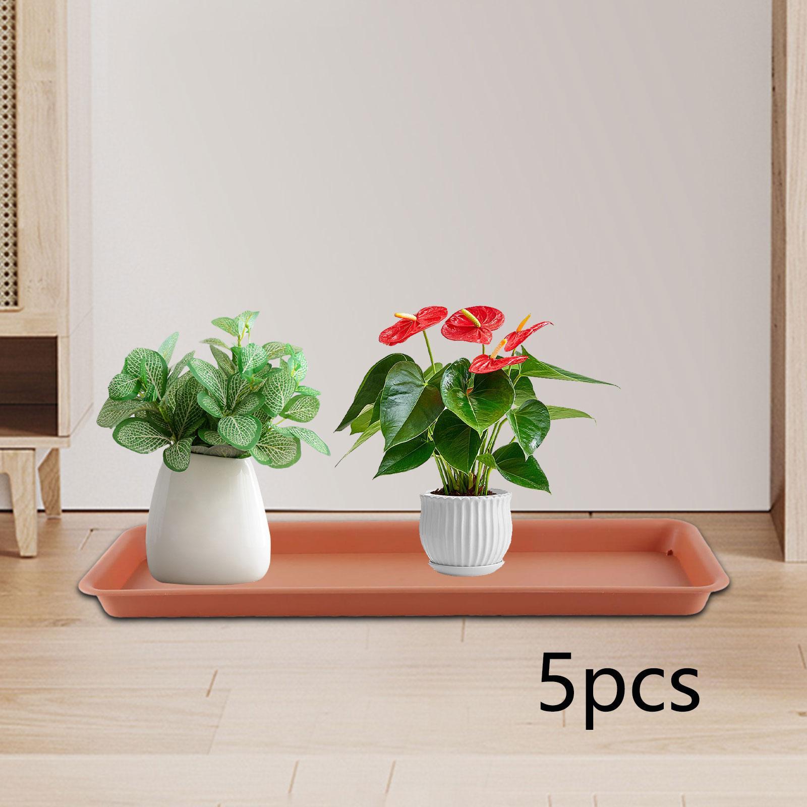 High Flower Pot for the Terrac - đánh giá và giá Drip Tray Saucer