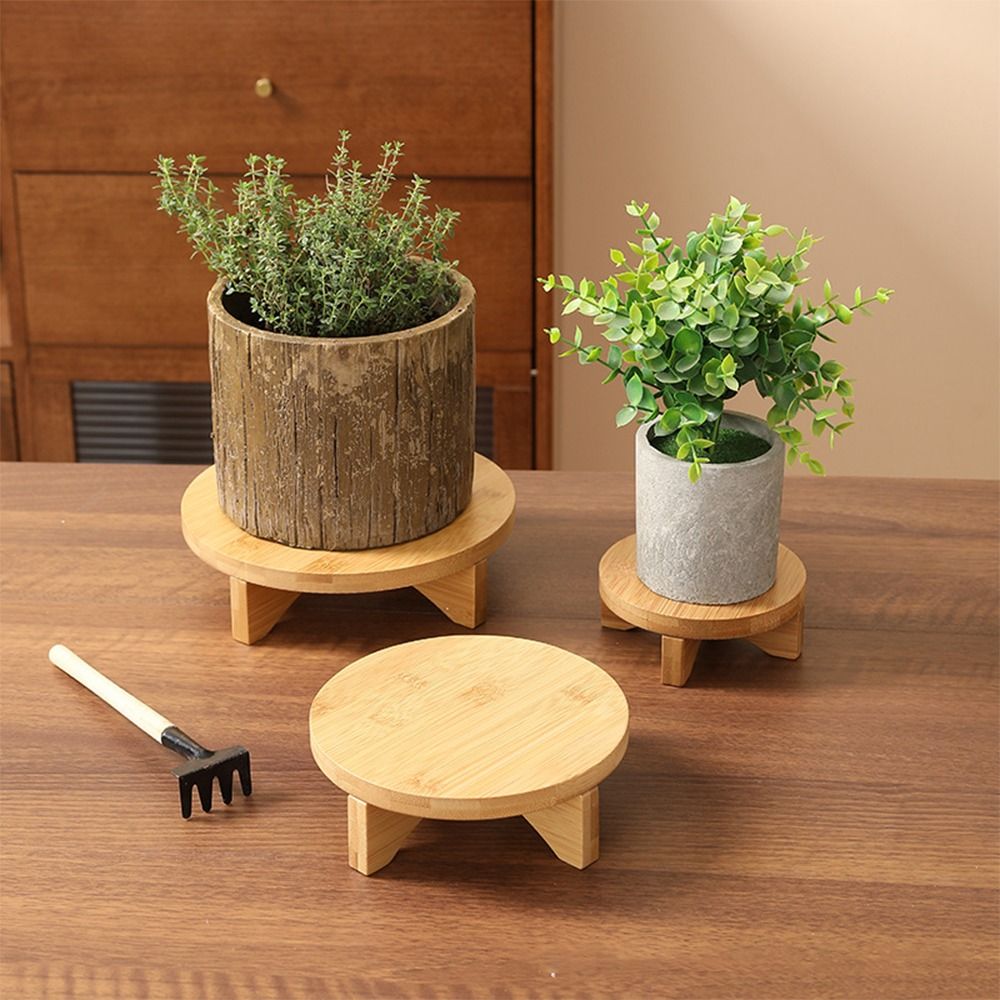 Wooden Bonsai Display Stand Fl - đánh giá và giá Bonsai Garden Display