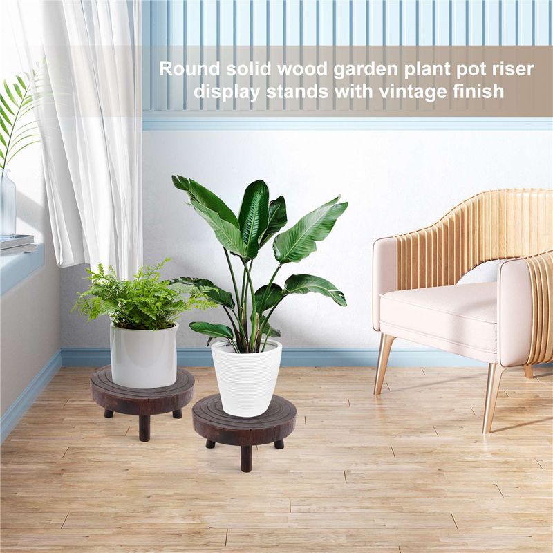 ABHU 2Pcs Mini Wooden Stool Fl - đánh giá và giá Bonsai Garden Display