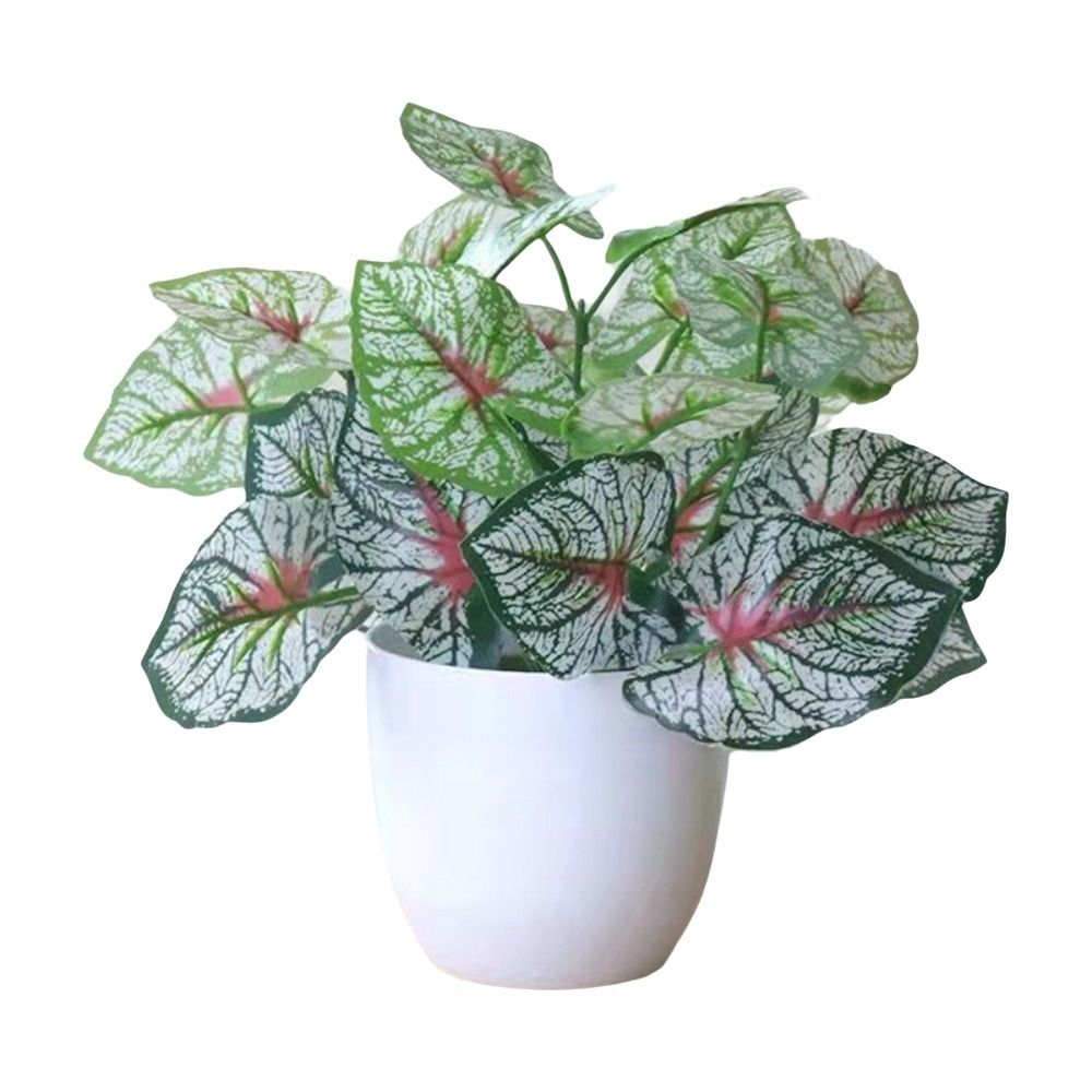 Mini Fake Potted Flowers Bonsa - đánh giá và giá Bonsai Repotting Mat