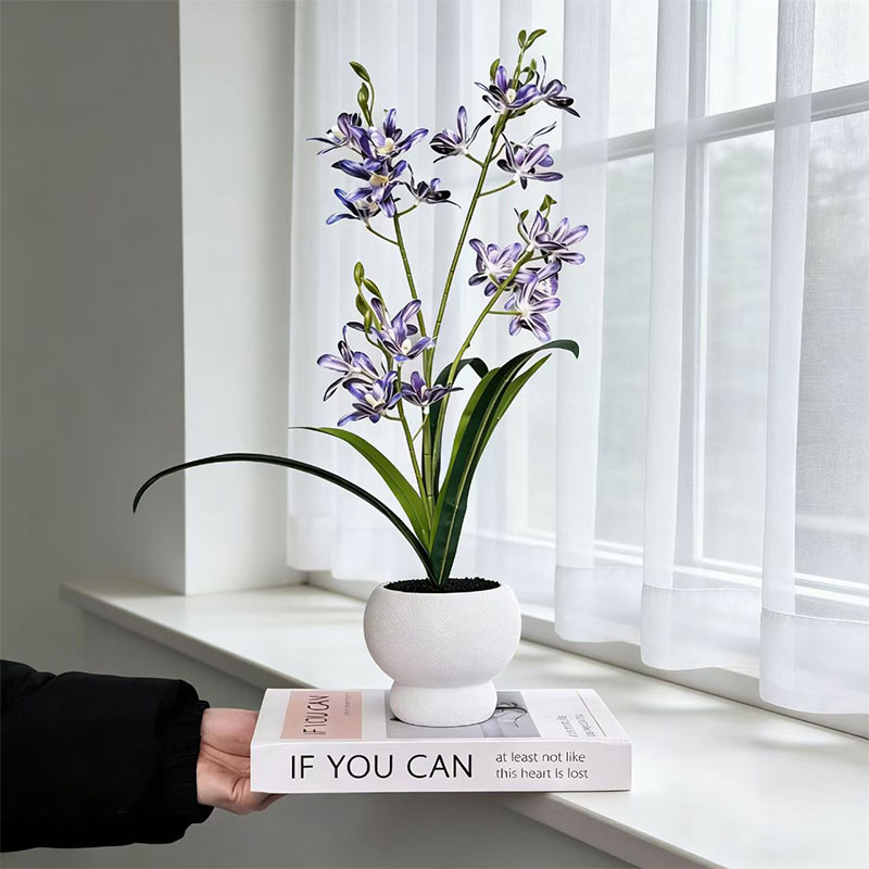 New Jumping Orchid Black Sand  - đánh giá và giá Bonsai Garden With Sand