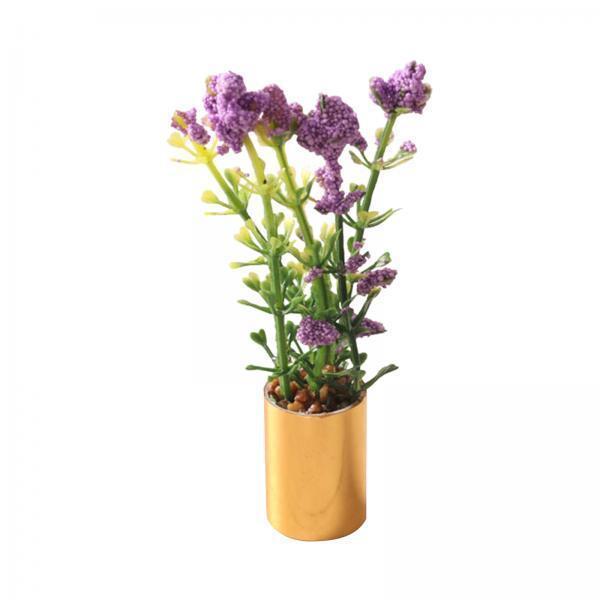 Miniature Potted Plant Ornamen - đánh giá và giá Bonsai Garden Display