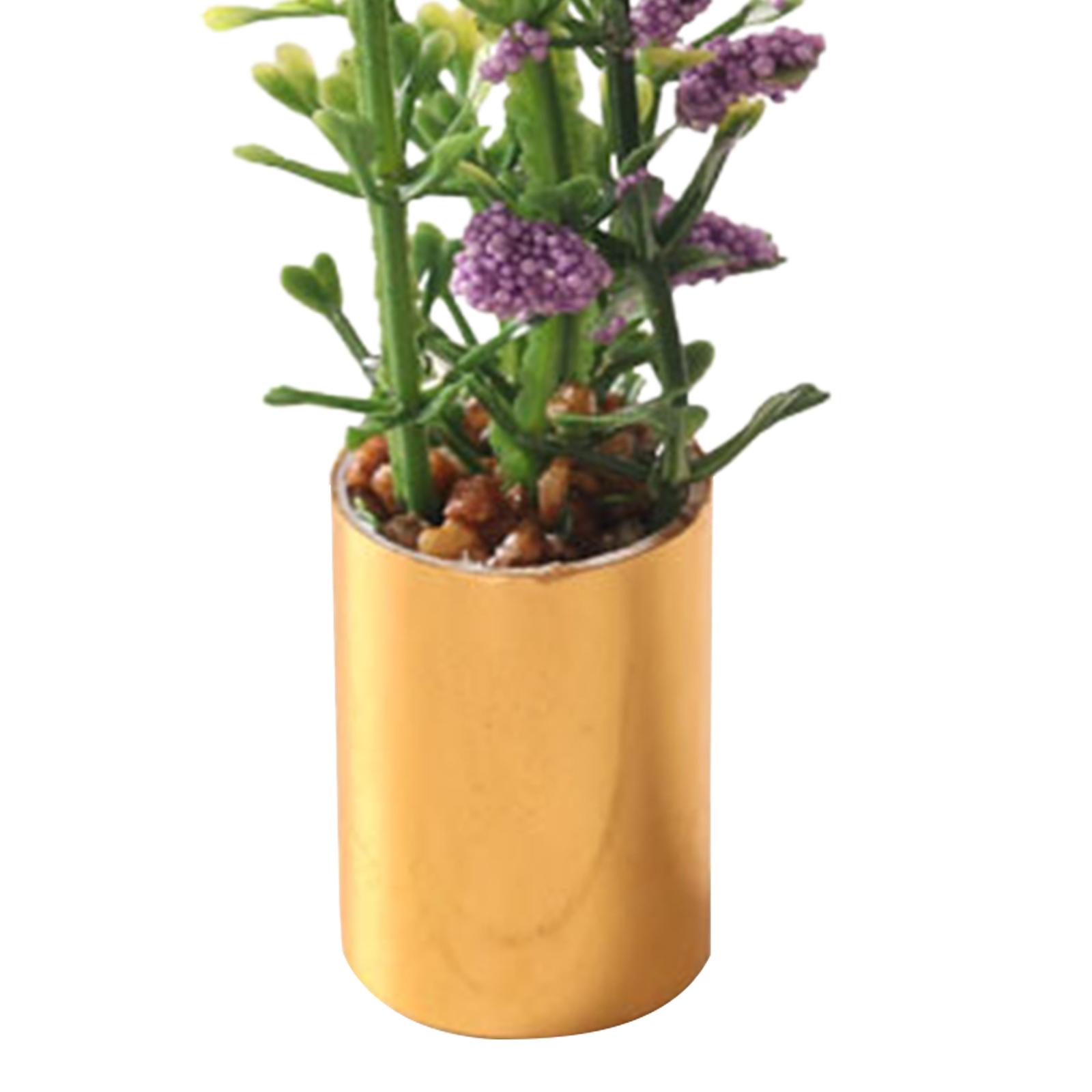 Miniature Potted Plant Ornamen - đánh giá và giá Bonsai Garden Display