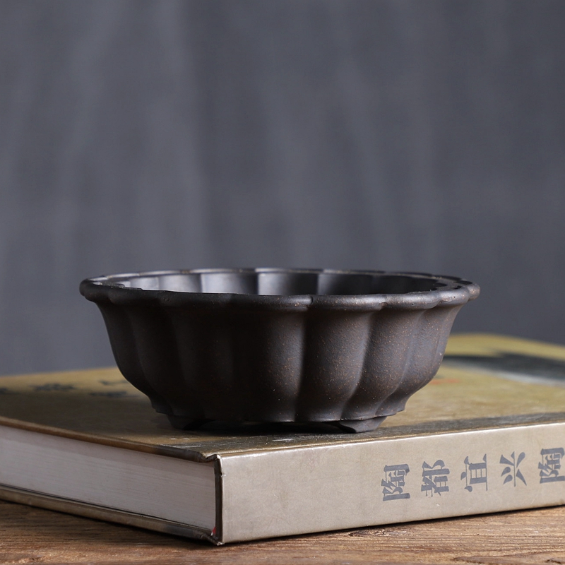 Ceramic Chrysanthemum Shape Fl - đánh giá và giá Bonsai Garden With Sand