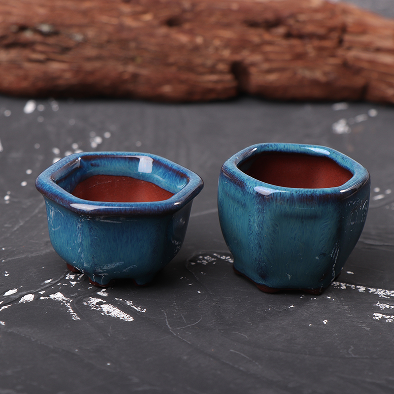 *Mini Plant Pots Flower Pot Wi - đánh giá và giá Bonsai Garden With Sand