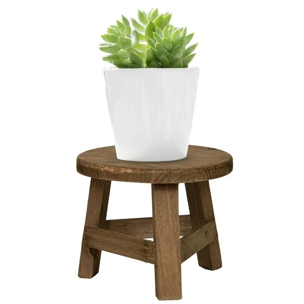 Modern Bonsai Rack Wooden Mini - đánh giá và giá Bonsai Garden Display
