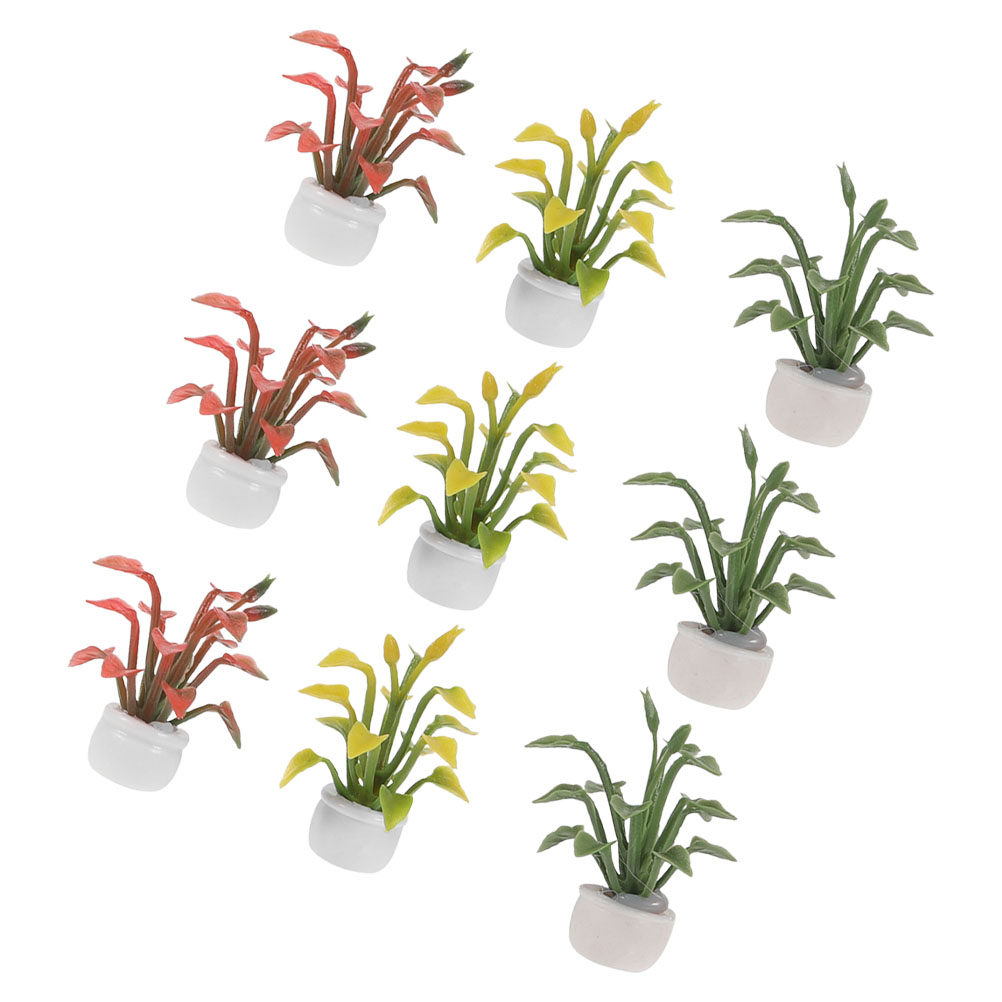 9Pcs Miniature Potted Plant Re - đánh giá và giá Bonsai Garden With Sand